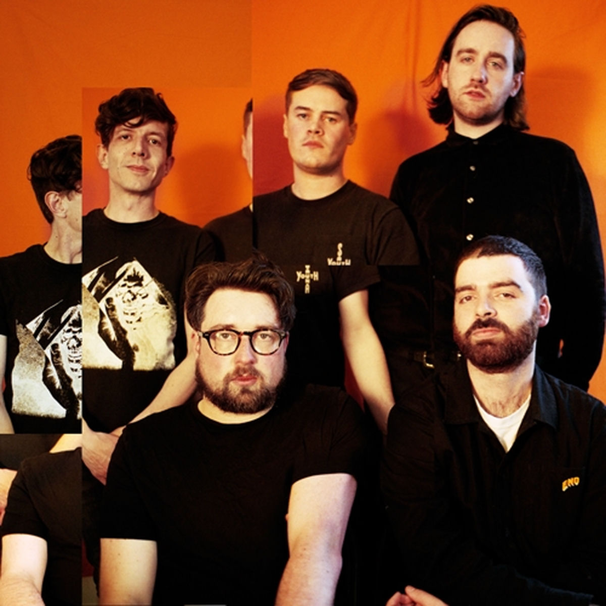 Artist picture of Hookworms