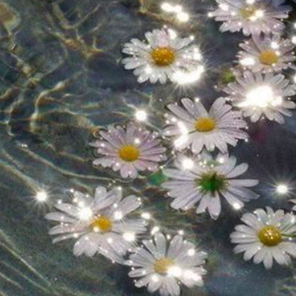 Always Bloom
