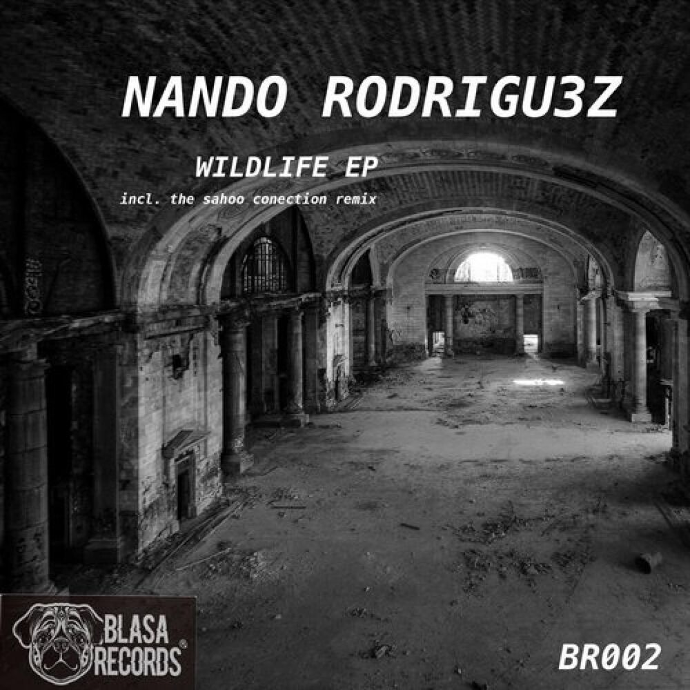 Picture of Nando Rodrigu3z, The Sahoo Conection
