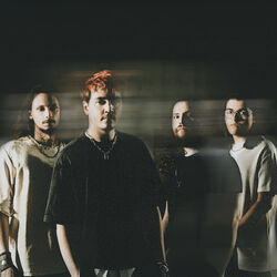 Picture of Nerveless