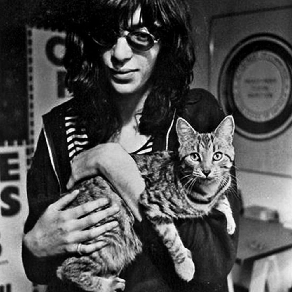 Picture of Joey Ramone