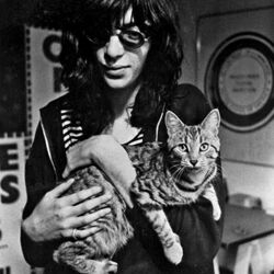 Picture of Joey Ramone