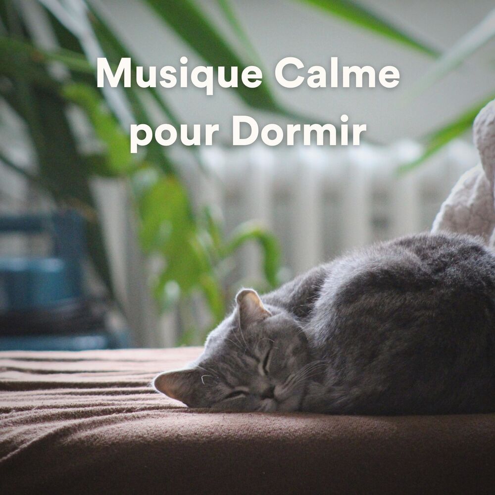 Picture of Aide Au Sommeil