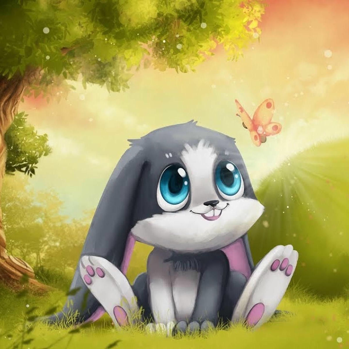 Lapin Câlin