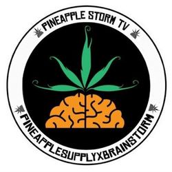 Picture of Pineapple StormTv
