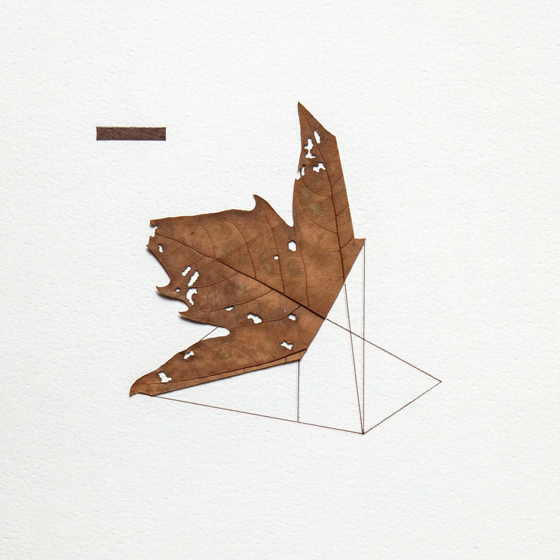 Oliver Patrice Weder