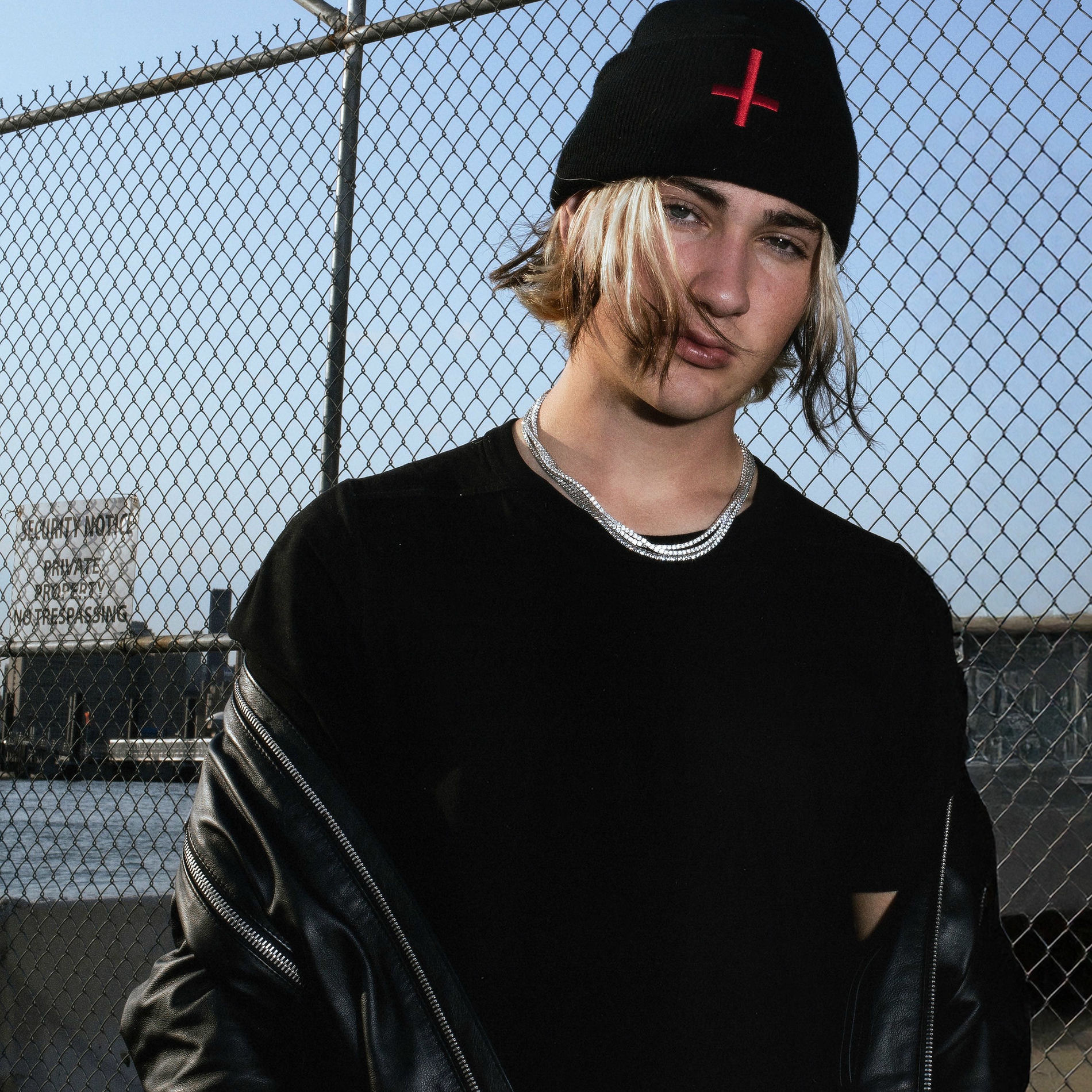 Artist picture of JEWELS