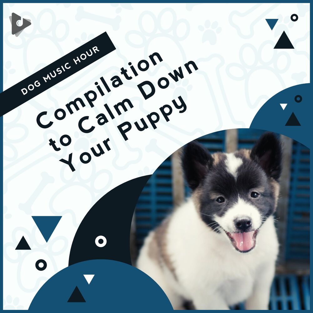 Picture of Relaxing Puppy Music
