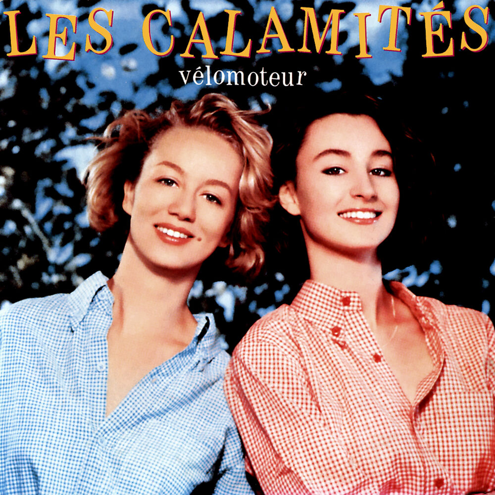 Picture of Les Calamités