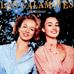 Picture of Les Calamités