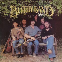 Picture of The Bothy Band