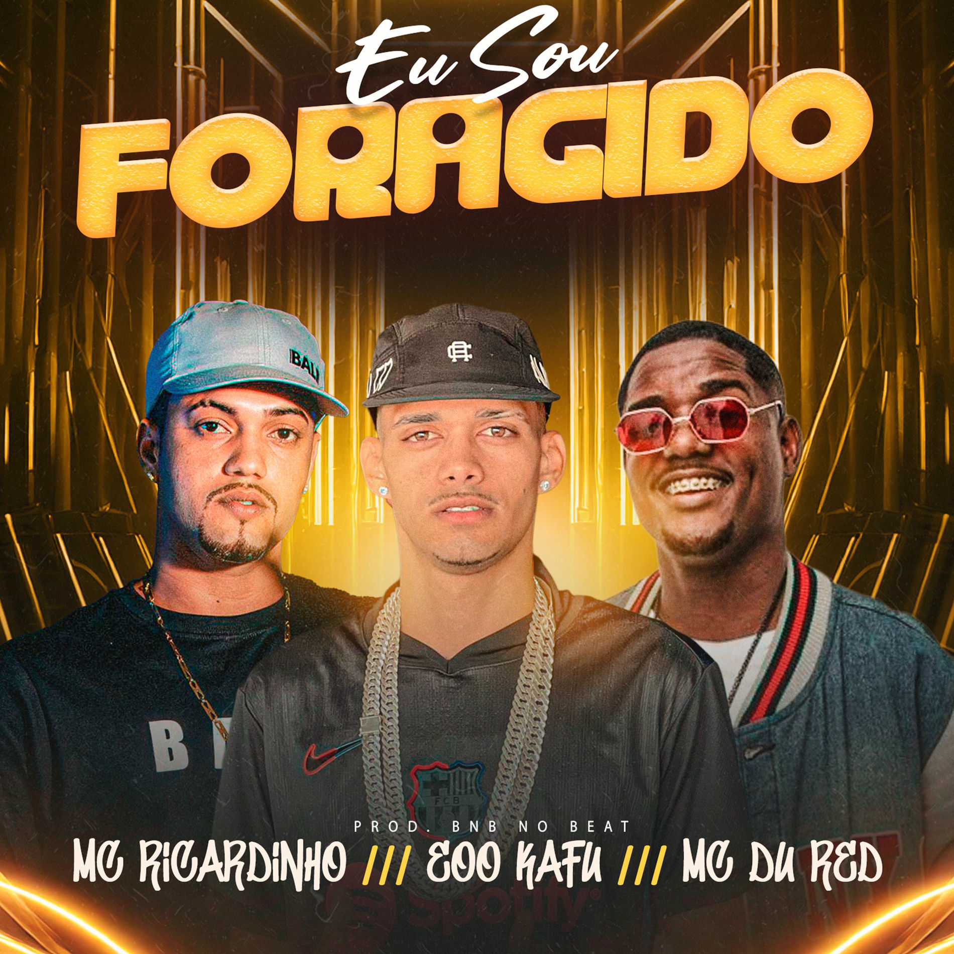 MC Ricardinho