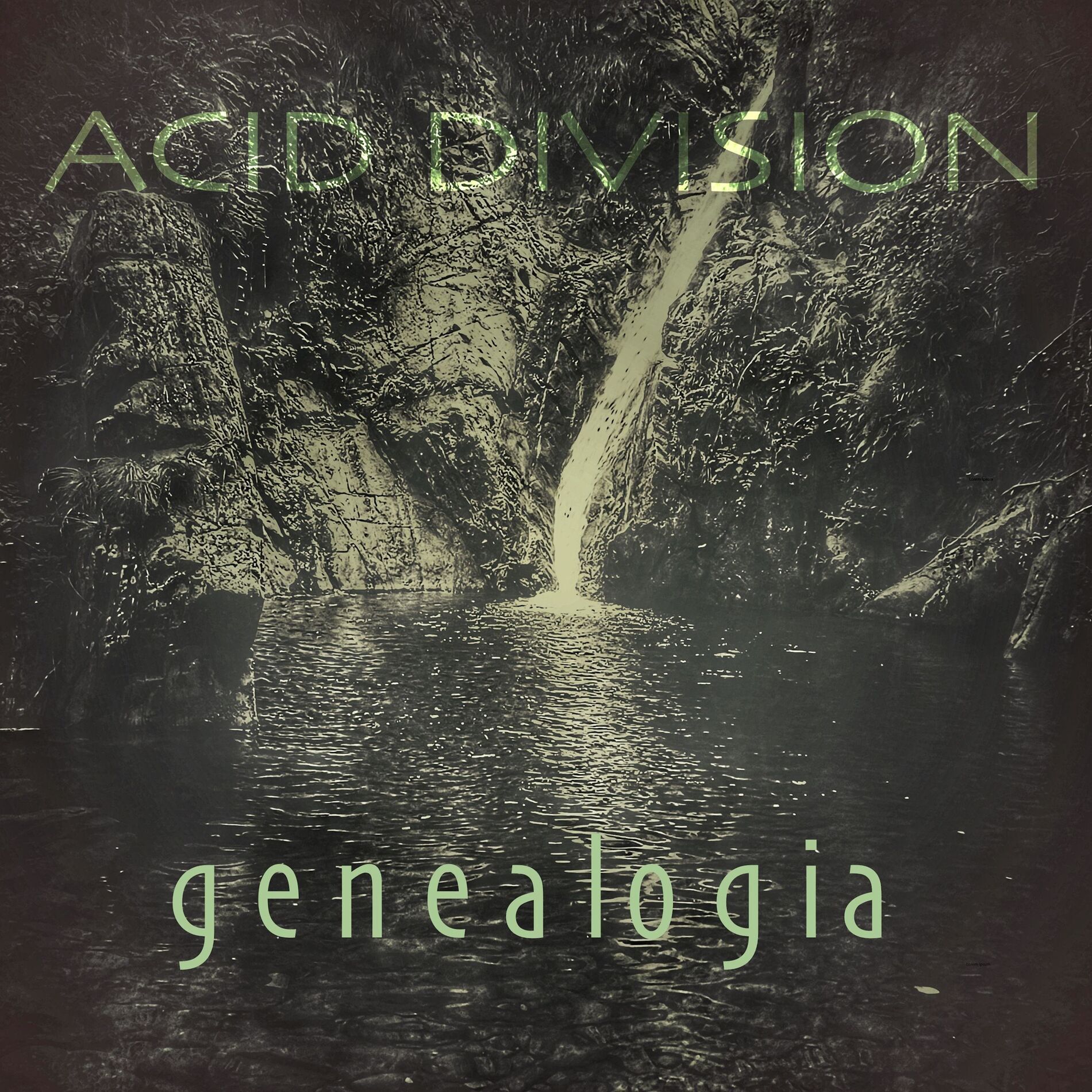 Acid Division
