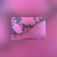Archaeopteryx