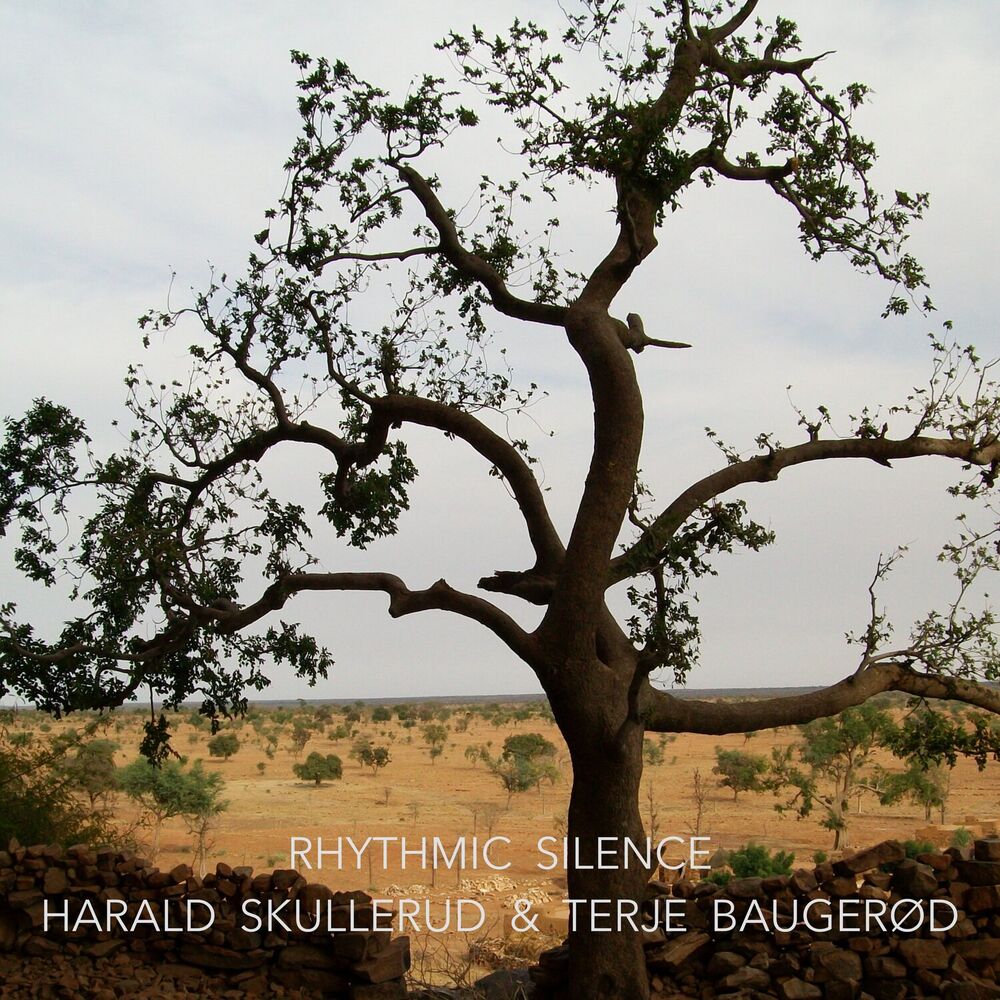 Picture of Harald Skullerud