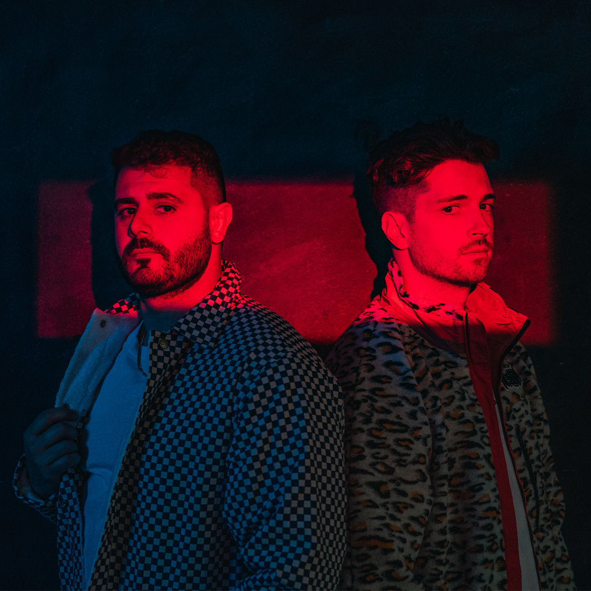 Artist picture of The Blue Stones