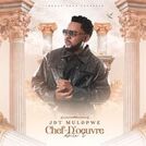 JDT MULOPWE