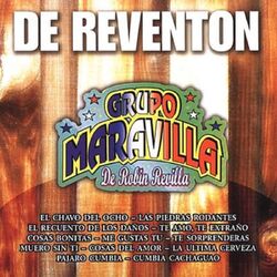 Picture of GRUPO MARAVILLA