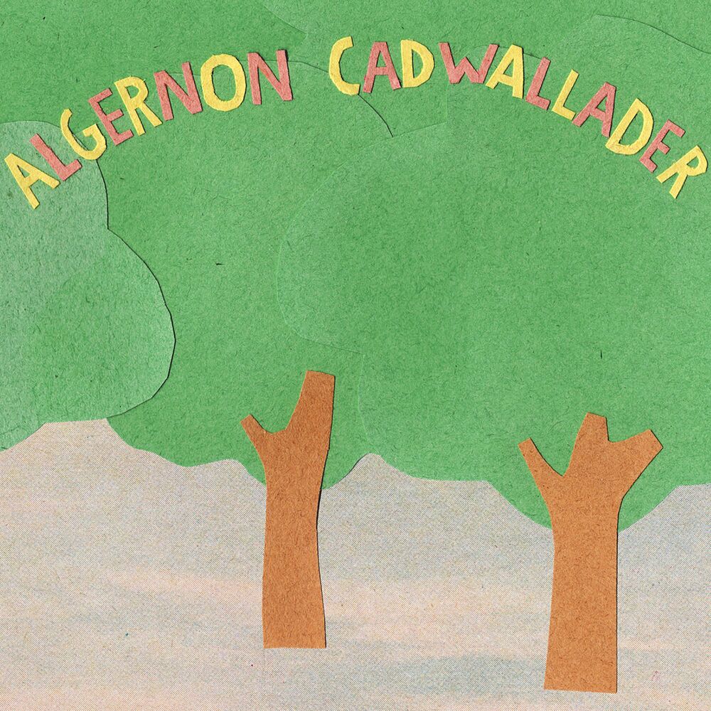 Picture of Algernon Cadwallader