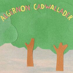 Picture of Algernon Cadwallader