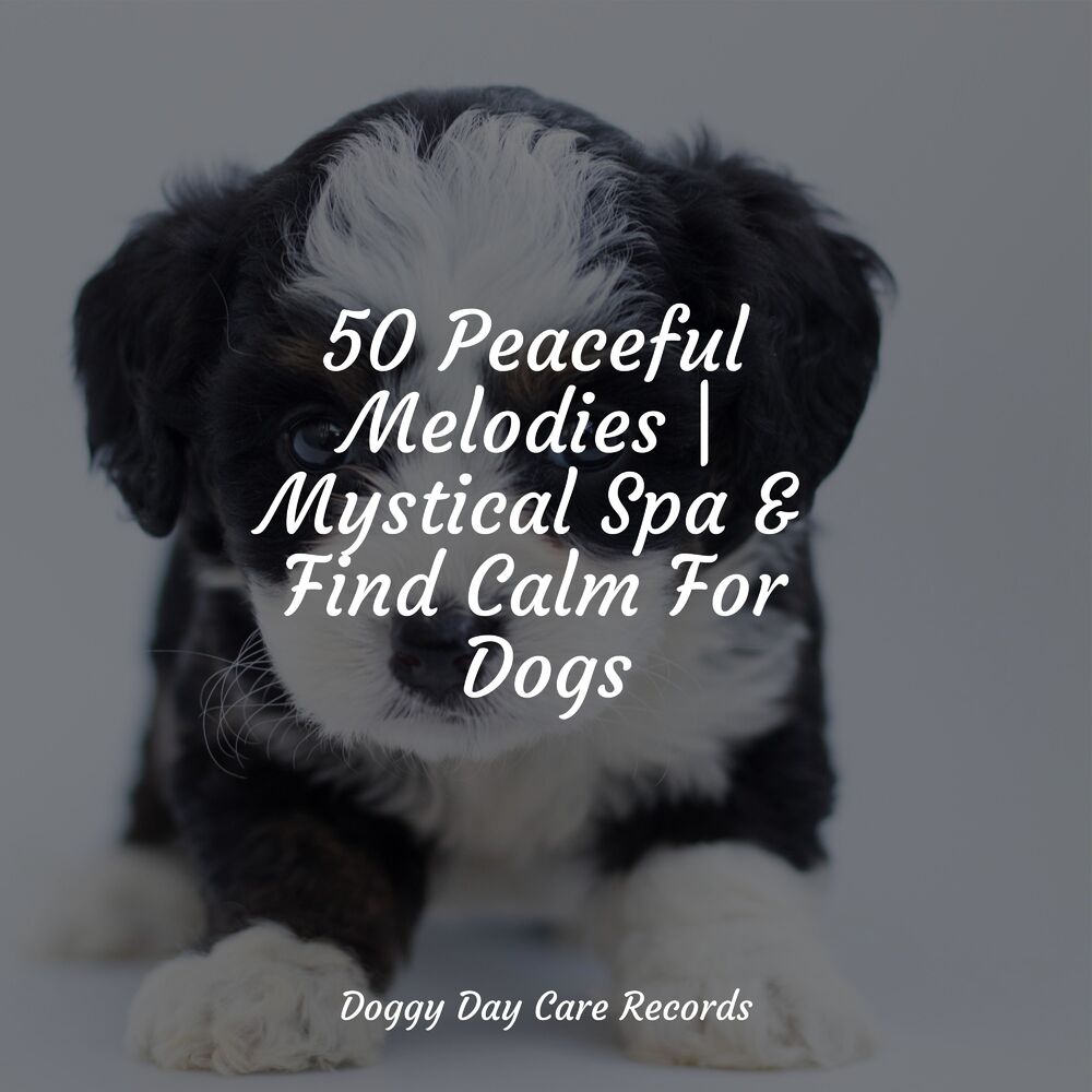 Picture of Jazz Music for Dogs