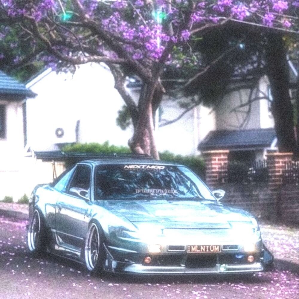 Picture of crepista