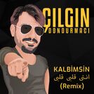 Çılgın Dondurmacı