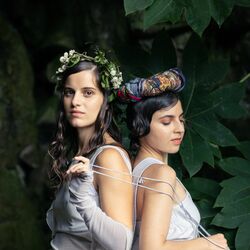 Picture of Caamaño & Ameixeiras
