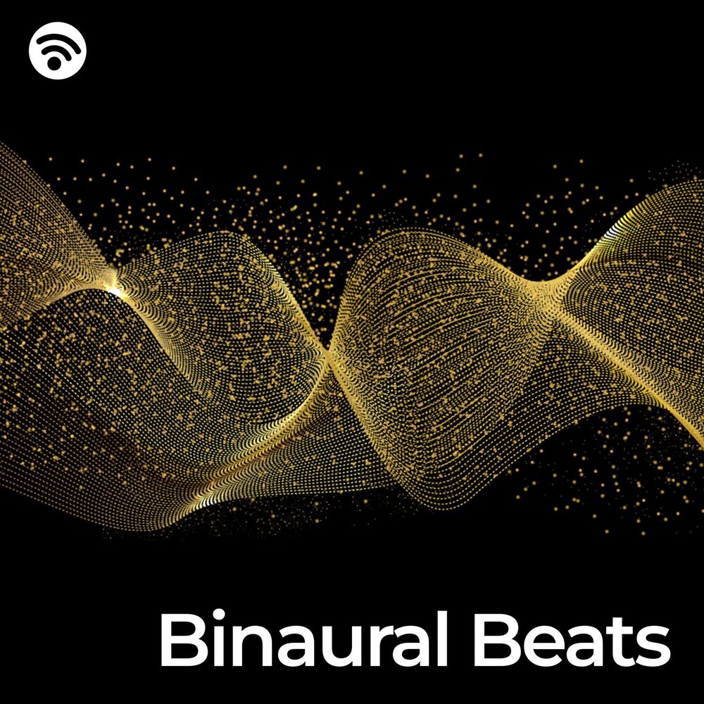 Picture of Binaural Shapers