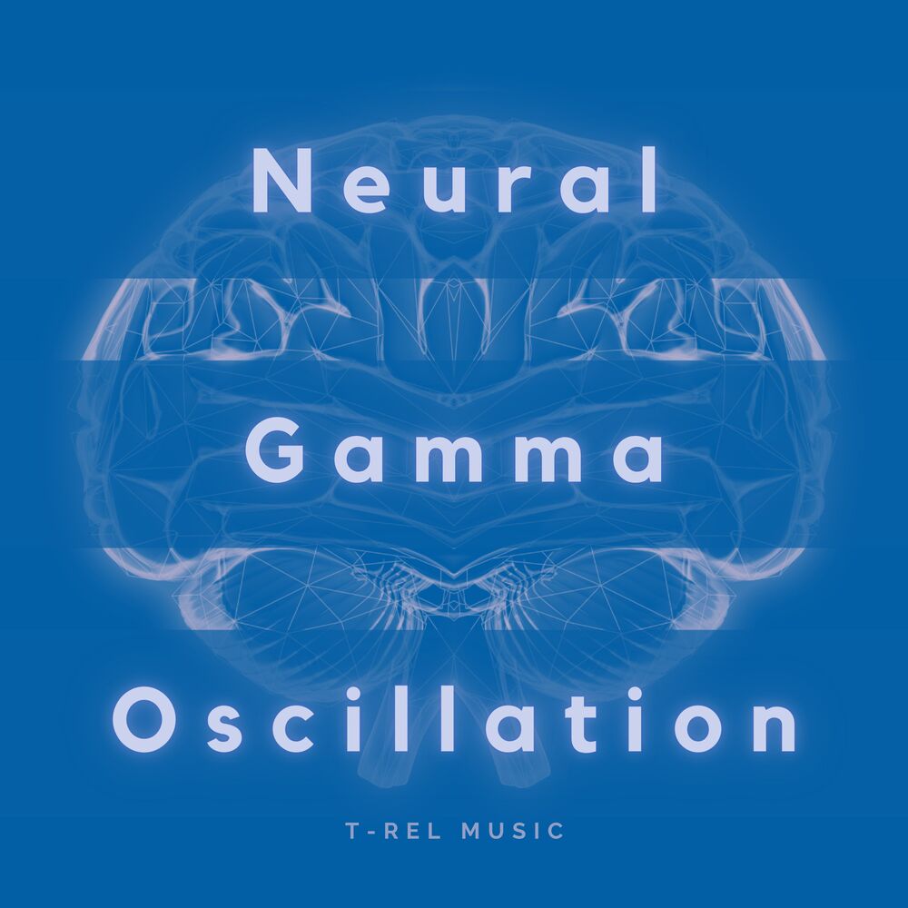 Picture of Binaural Brain Waves