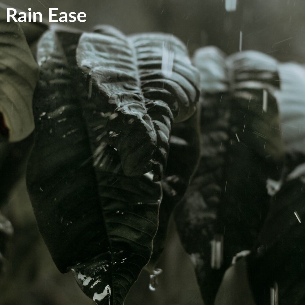 Picture of Calm Sleep Rain Sound