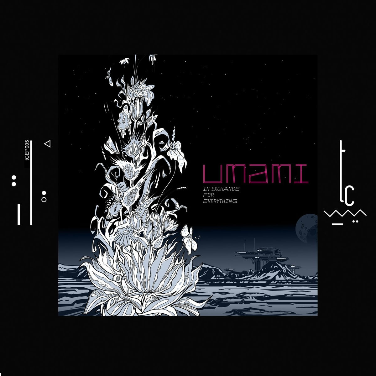 Umami