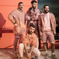 Picture of Mashrou' Leila