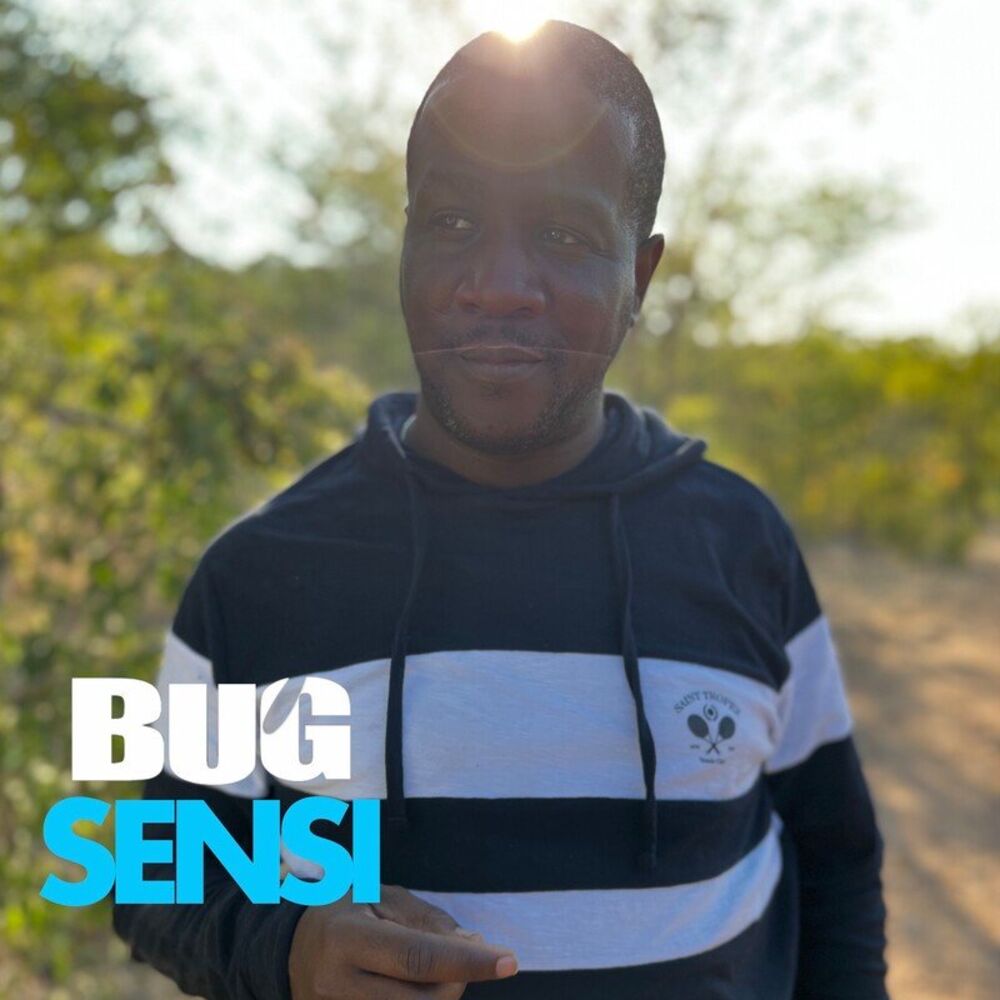 Picture of Bug
