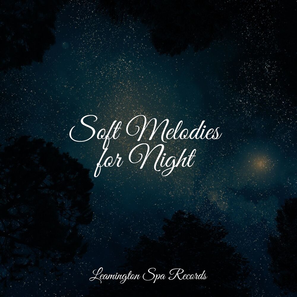 Picture of Pure Serenity Spa Music & Massage Collective Garden & Zen Relaxation Meditation
