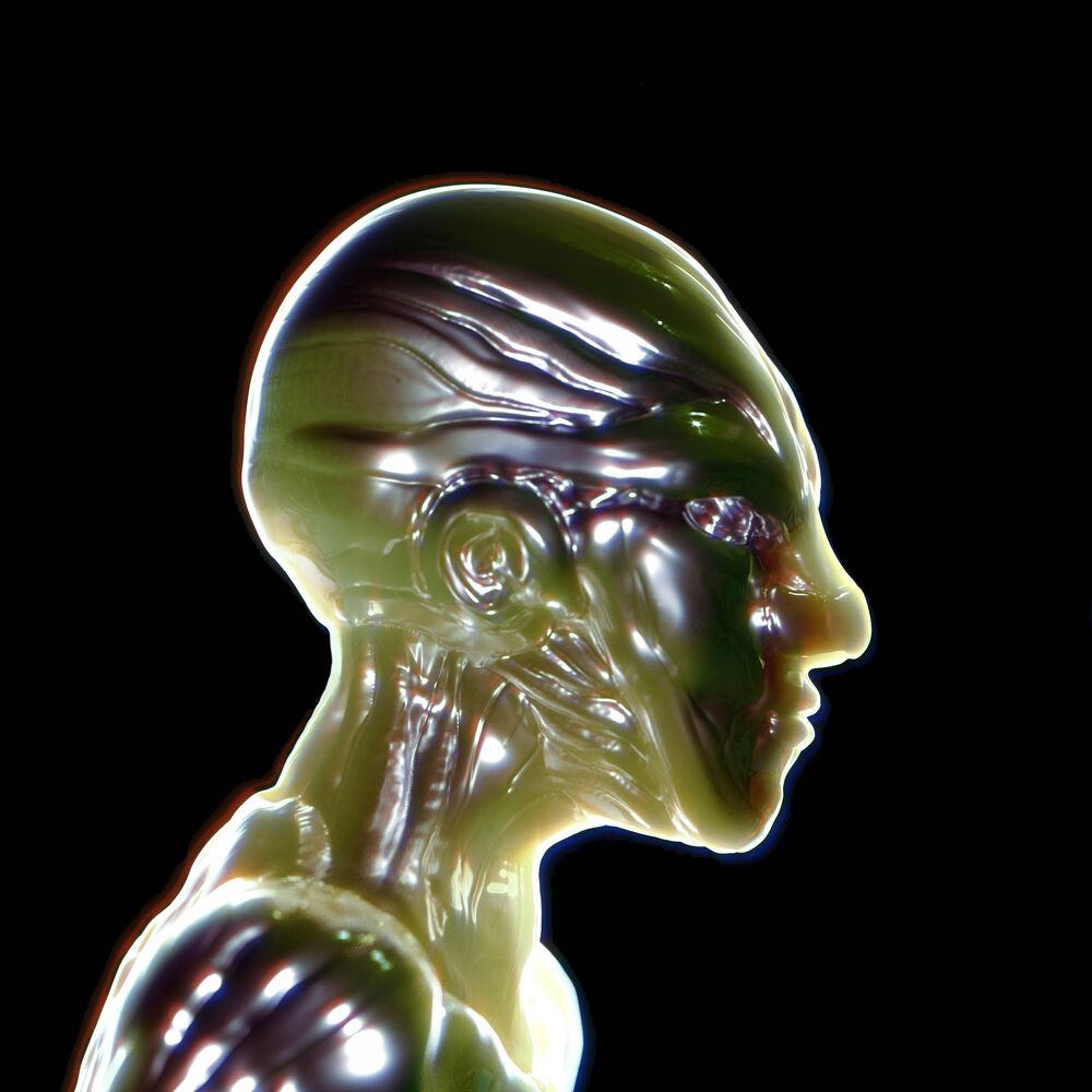 Picture of Gotshell