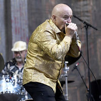 The Fabulous Thunderbirds