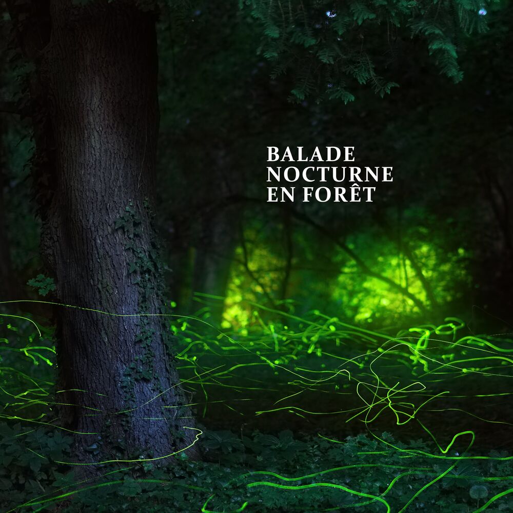 Picture of Sounds of Nature Kingdom