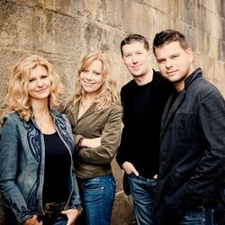 Picture of Pavel Haas Quartet