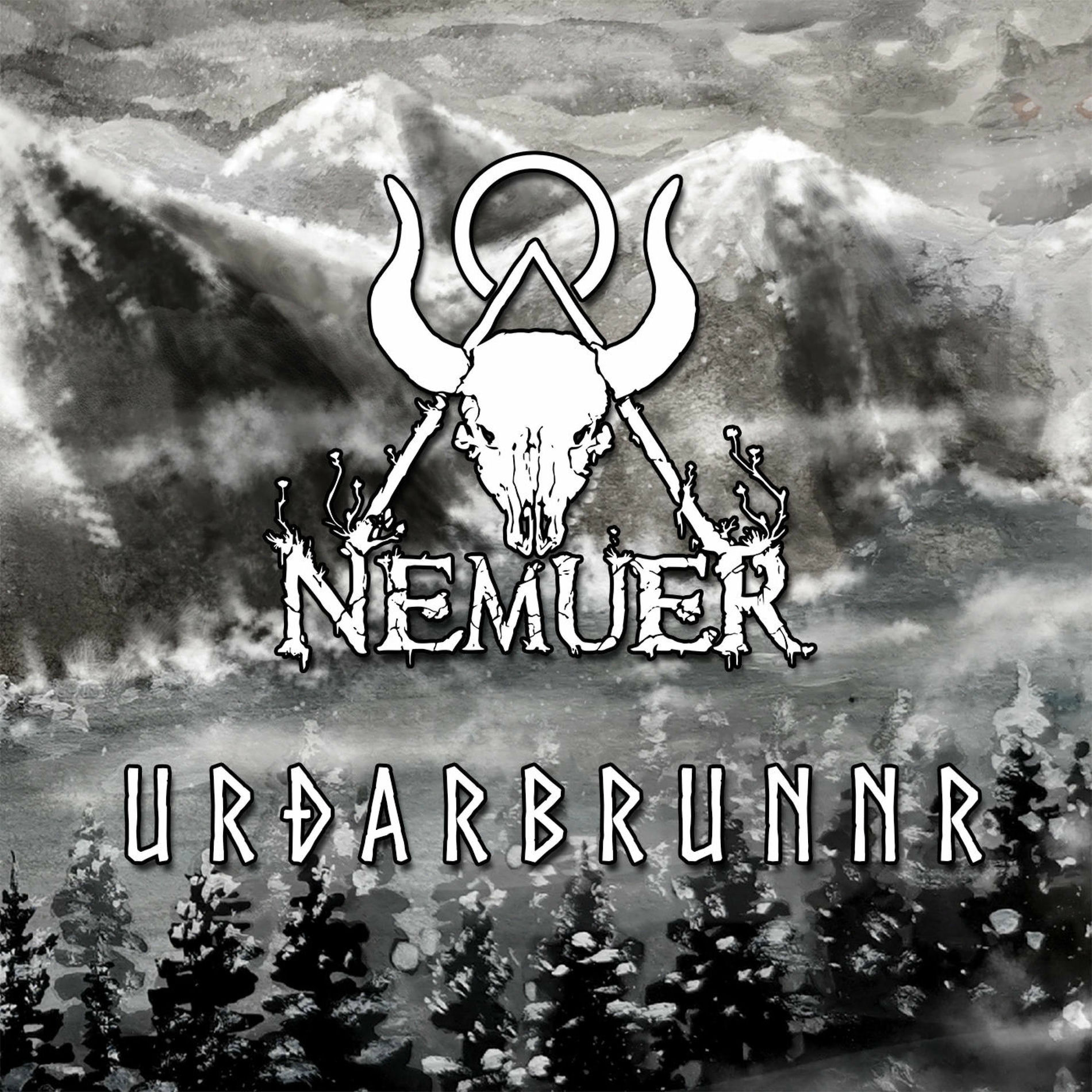 Artist picture of Nemuer