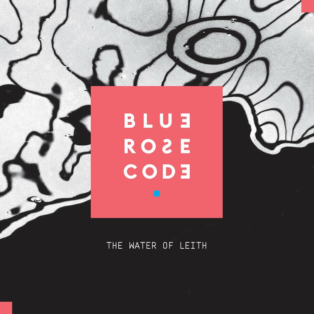 Picture of Blue Rose Code