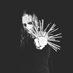 Picture of Helleruin