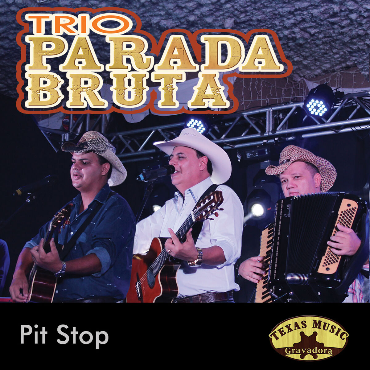 Artist picture of Trio Parada Bruta