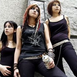 Picture of Gallhammer