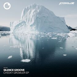 Picture of Silence Groove