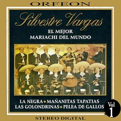 Picture of Mariachi Silvestre Vargas