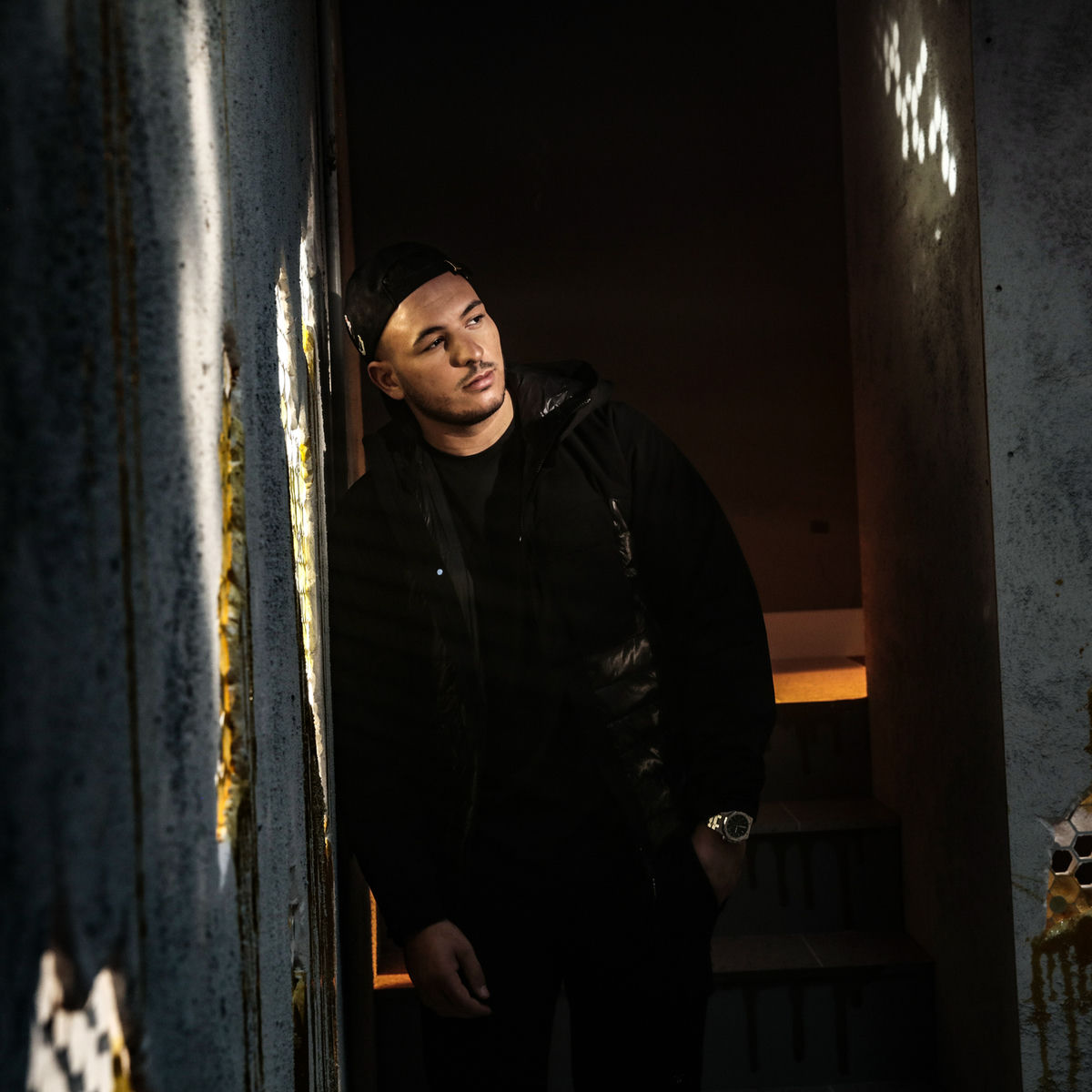 Artist picture of Hornet la Frappe