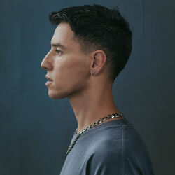 Picture of Harel Skaat