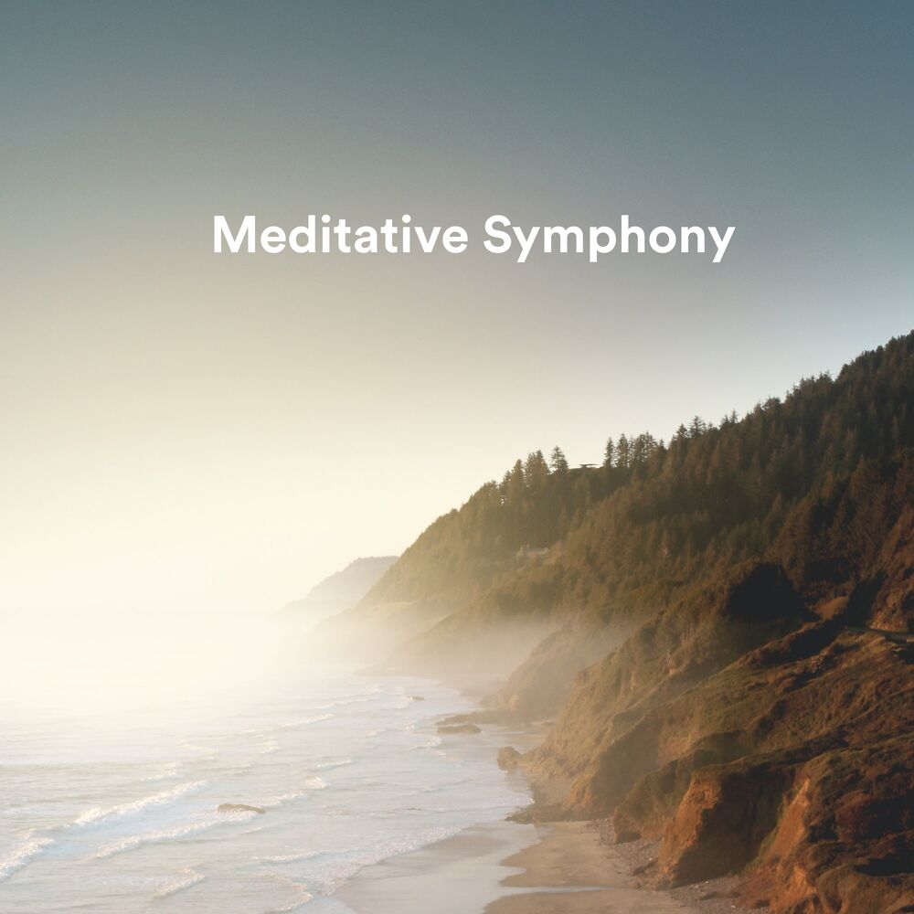 Picture of The Mellow One