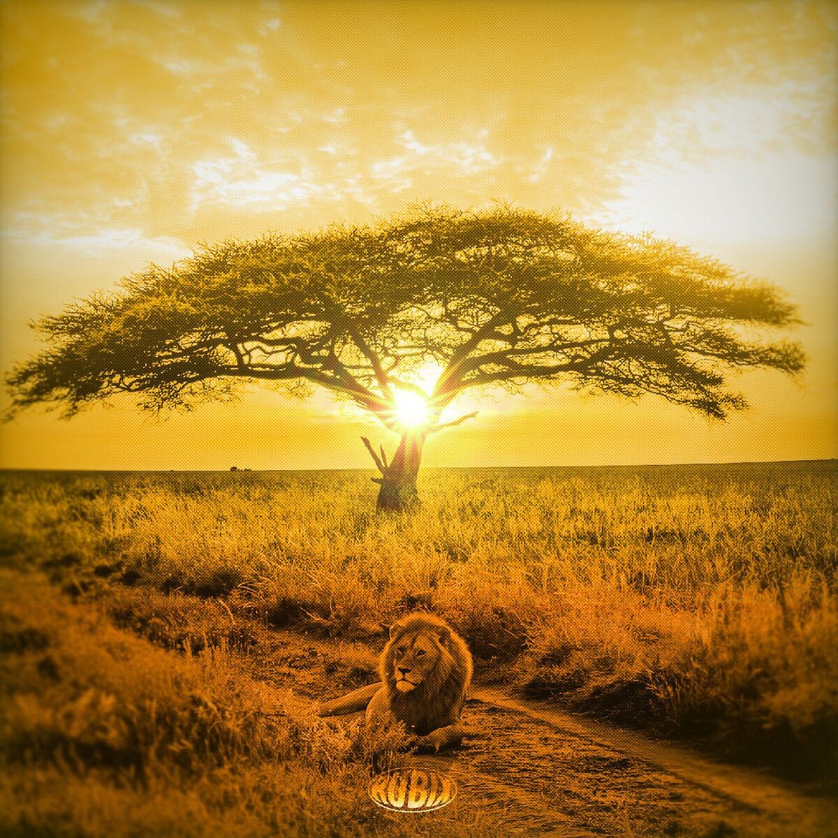 SCHWVFTY